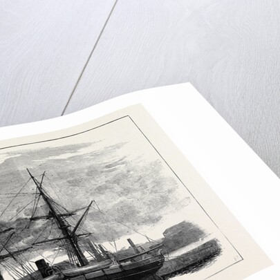 The Eira Arctic Relief Expedition Under Captain Sir Allen Young: The Exploring Steam Vessel Hope by Anonymous