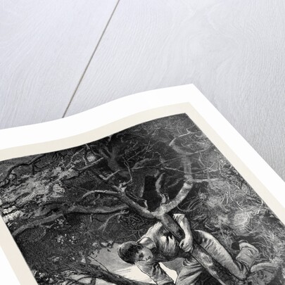 Kit, a Memory; the Long Looked-for Branch. by Anonymous