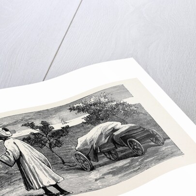 The Occupation of Alexandria: Egyptian Prisoners in the Arsenal by Anonymous