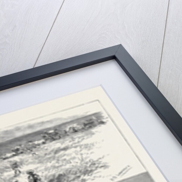 India, Hunting Black Buck with the Cheetah in Baroda by Anonymous