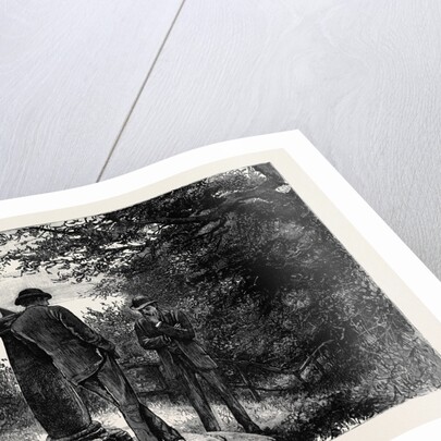 Kit, a Memory; Do You Know What He is Doing Now While We Are Walking Under the Trees? by Anonymous