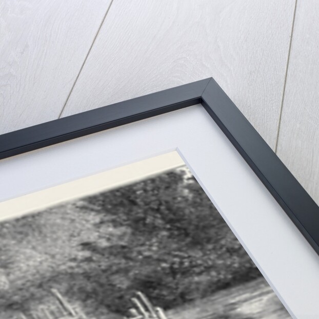 A Salmon Weir Near the Quamichan Indian Village on the Cowichan River, Vancouver Island, Canada by Anonymous