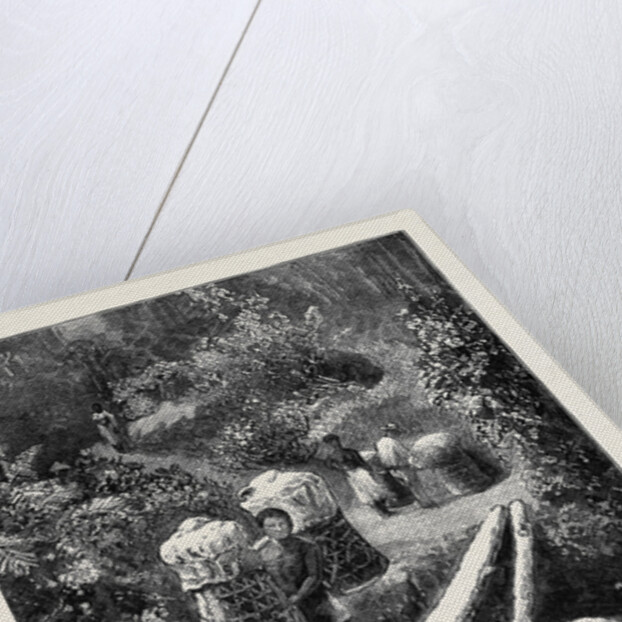 A Native Bridge, Madagascar by Anonymous