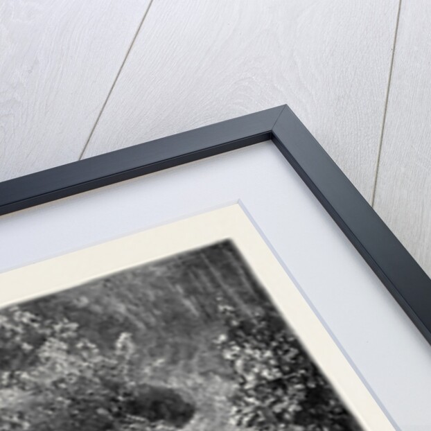 A Native Bridge, Madagascar by Anonymous