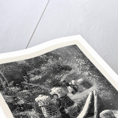 A Native Bridge, Madagascar by Anonymous