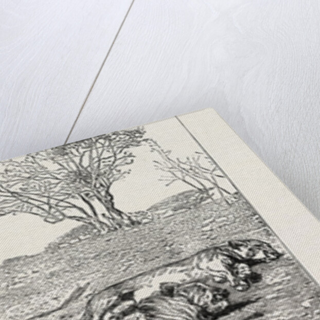 Sudan: Hippopotamus and Salee a Lion and Lioness by Anonymous