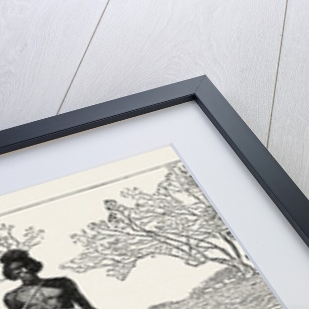 Sudan: Hippopotamus and Salee a Lion and Lioness by Anonymous