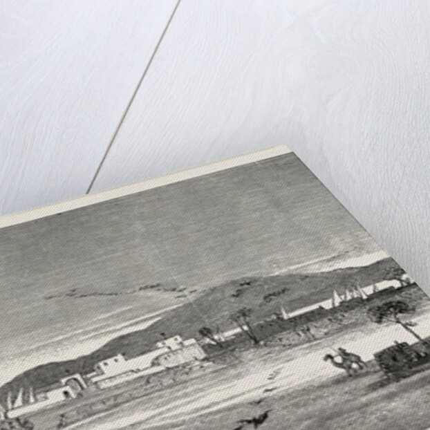 The Rebellion in the Soudan: Berber from the Desert or East Side by Anonymous