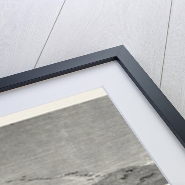 The Rebellion in the Soudan: Berber from the Desert or East Side by Anonymous