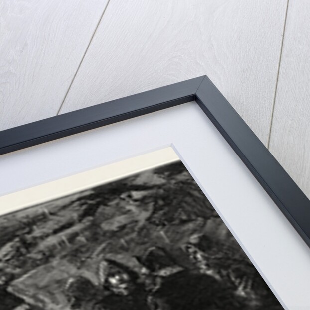 The New Railway Tunnel Under the River Mersey Connecting Birkenhead with Liverpool Breaking Down the Last Partition by Anonymous