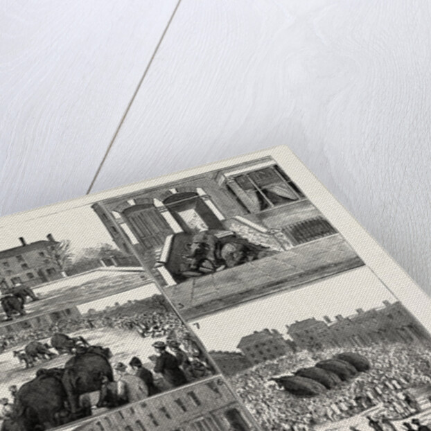 The Strange Adventures of Two Runaway Elephants in Kentish Town London by Anonymous