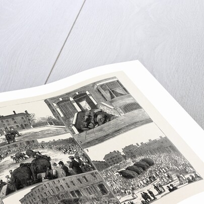 The Strange Adventures of Two Runaway Elephants in Kentish Town London by Anonymous