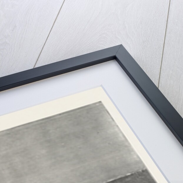 The Rebellion in the Soudan: Reading the Proclamation of the British Protectorate Suakim by Anonymous