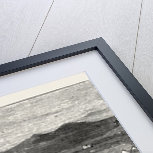 The Rebellion in the Soudan: General View of Suakim with Its Fortifications by Anonymous