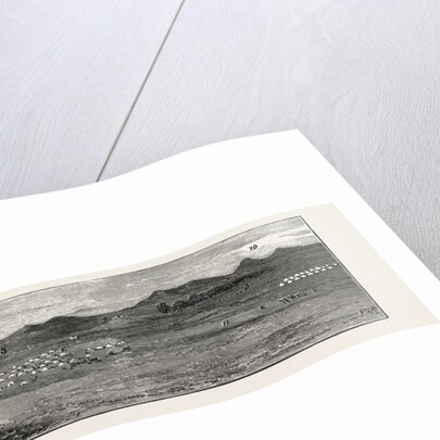 The Rebellion in the Soudan: General View of Suakim with Its Fortifications by Anonymous