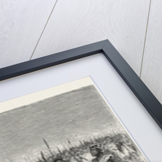 The Rebellion in the Soudan: Osman Digna Marching against the Egyptian Forces by Anonymous