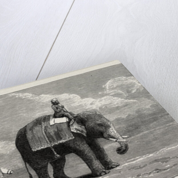 The Great Elephant Controversy an Elephant Belonging to the Rajah of Puttiala Precisely Similar to Mr. Barnum's Elephant at the Zoological Gardens by Anonymous