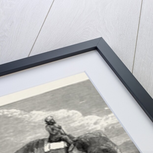 The Great Elephant Controversy an Elephant Belonging to the Rajah of Puttiala Precisely Similar to Mr. Barnum's Elephant at the Zoological Gardens by Anonymous