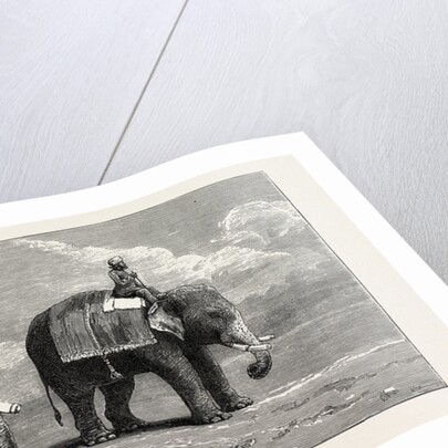 The Great Elephant Controversy an Elephant Belonging to the Rajah of Puttiala Precisely Similar to Mr. Barnum's Elephant at the Zoological Gardens by Anonymous