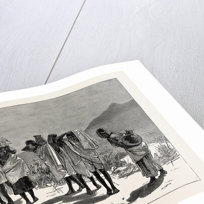 With Admiral Sir W. Hewett's Embassy to King John of Abyssinia: Abyssinian Hospitality-Supplies Coming in by Anonymous