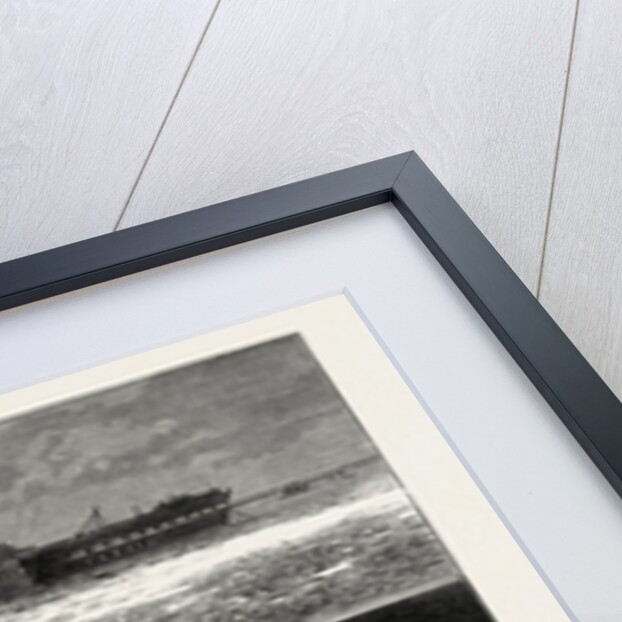 The Smallpox Epidemic and the Metropolitan Asylums Board: The Red Cross New Ambulance Steamer by Anonymous