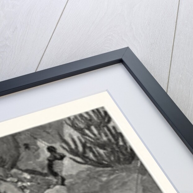 With Admiral Sir W. Hewett's Embassy to King John of Abyssinia the Best Part of the Maiensi Pass by Anonymous