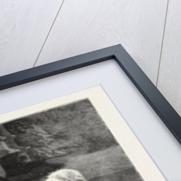 A Meeting of the Commanders-in-Chief of the Army in India by Anonymous