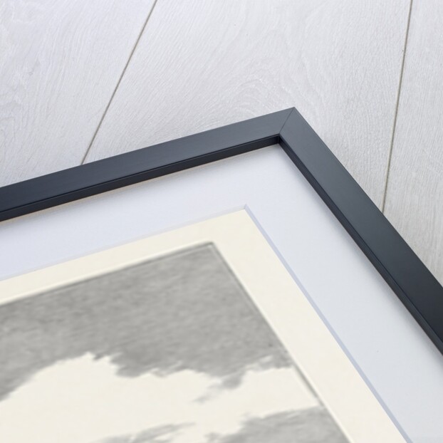 The Shakespeare Anniversary Celebration: The Proposed Memorial Buildings at Stratford-on-Avon by Anonymous