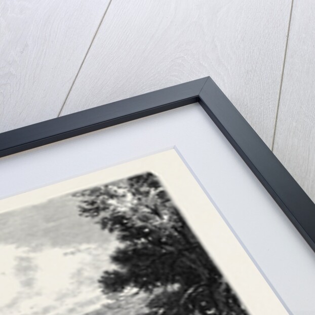 The War in the East: View of Varna, on the Black Sea by Anonymous