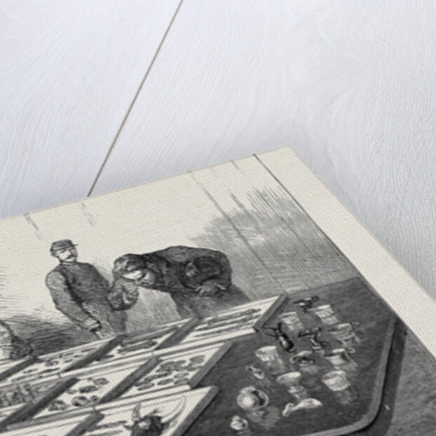 Exhibition at Athens of the Mycenae Treasures Discovered by Dr. Schliemann by Anonymous