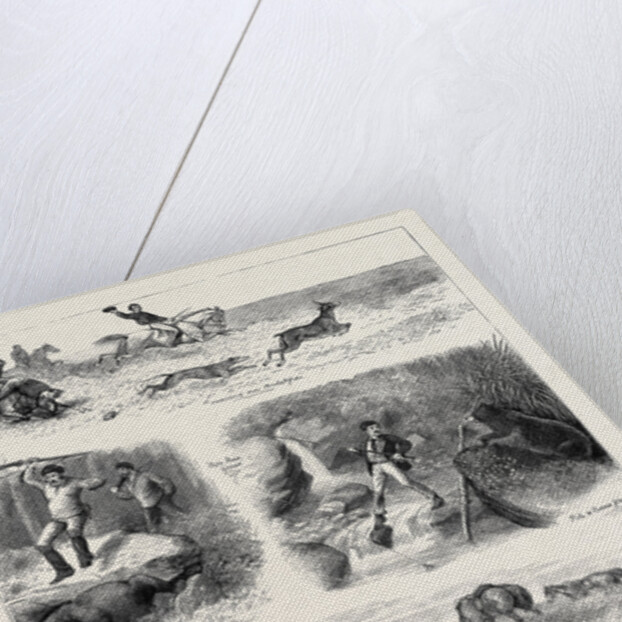 Life in Manitoba, British North America by Anonymous