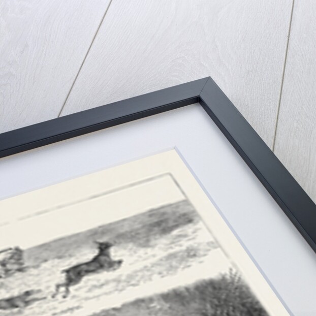 Life in Manitoba, British North America by Anonymous