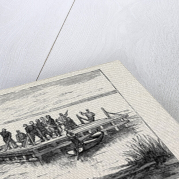 The War in the East, with the Russians on the Danube: Making Rafts on the Danube, Near Galatz by Anonymous