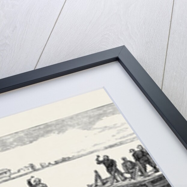 The War in the East, with the Russians on the Danube: Making Rafts on the Danube, Near Galatz by Anonymous