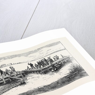 The War in the East, with the Russians on the Danube: Making Rafts on the Danube, Near Galatz by Anonymous