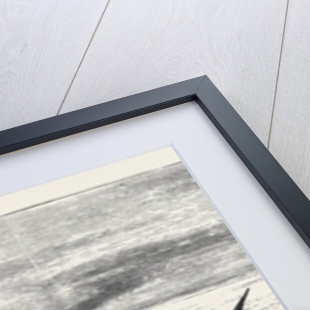 The Sea Serpent in the Mediterranean, a Sketch from H.M. Yacht Osborne Off the North Coast of Sicily on the Second of June by Anonymous