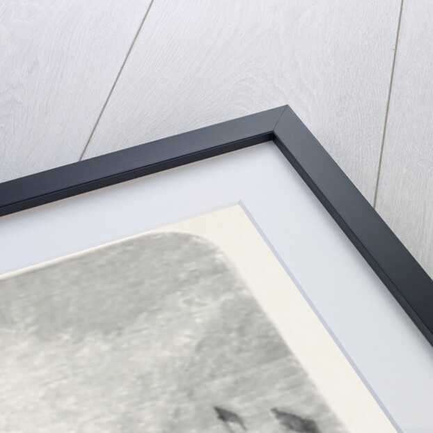 Launch of the Fethi Bulend at Blackwall, 1870 by Anonymous