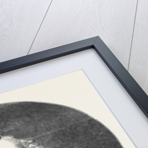 Bust of Waghorn, Erected at Port Said, on the Banks of the Suez Canal by Anonymous