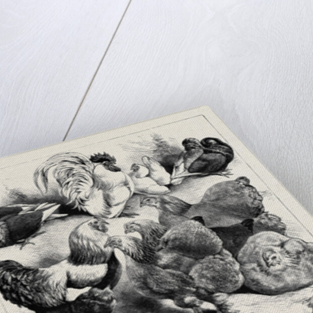 Prize Birds, Crystal Palace Poultry Show, 1870 by Anonymous