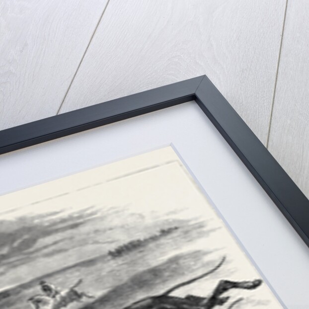 Coursing, 1870 by Anonymous