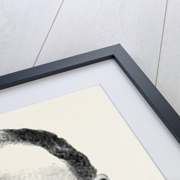 Earl of Fingall, Arthur James, the Seconder of the Address in the Lords, 1870 by Anonymous