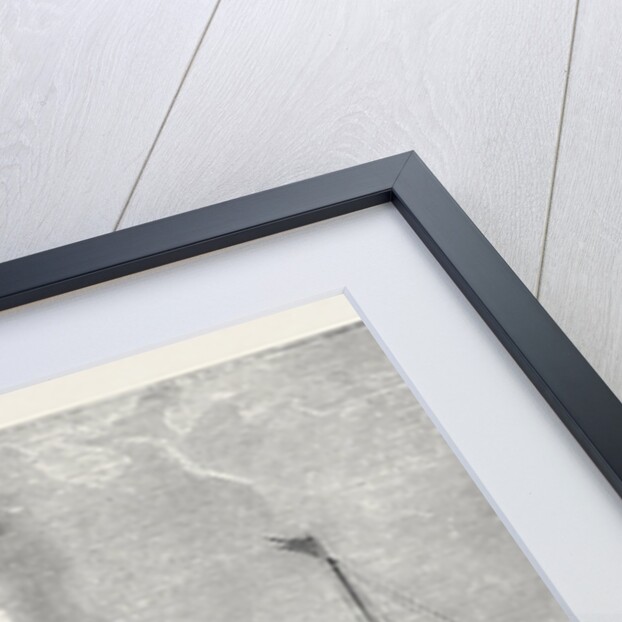 The Harvey Torpedo Trial, 1870 by Anonymous