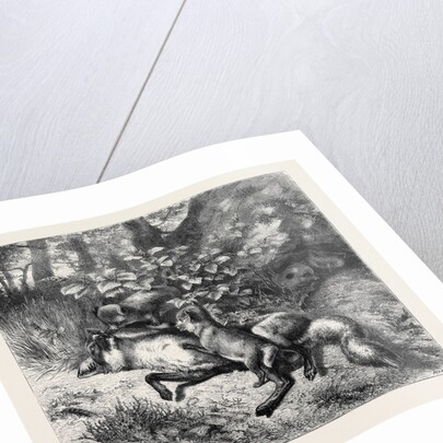 After Breakfast, from a Picture by J.B. Zwecker in the Old Bona Street Gallery, 1870 by Anonymous