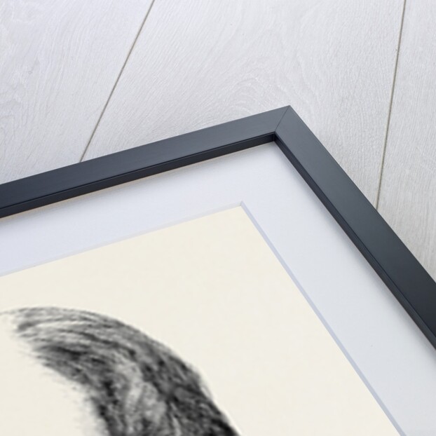 The New Bishop of St. Asaph, 1870 by Anonymous