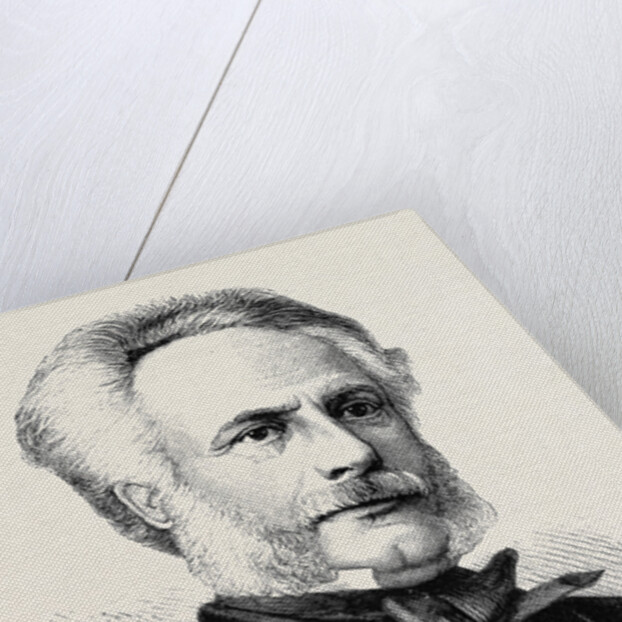 M. Plichon, 1870 by Anonymous