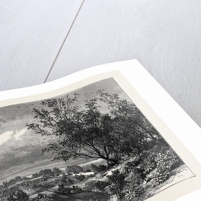Stanley Park, Liverpool, 1870 by Anonymous