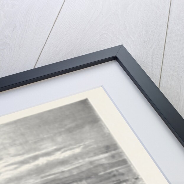 View of Constantinople and Pera, 1870 by Anonymous