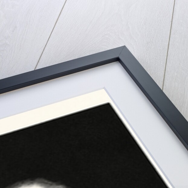 James Watt by Anonymous