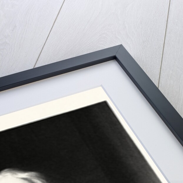 Sir Isaac Newton by Anonymous