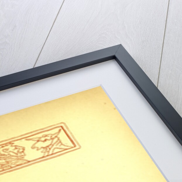 Glasses by Anonymous